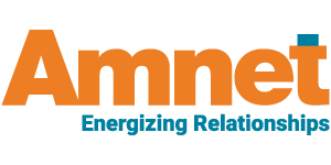 Amnet Systems