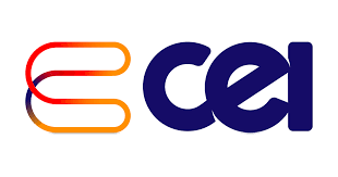 CEI India Pvt Ltd