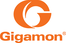 Gigamon